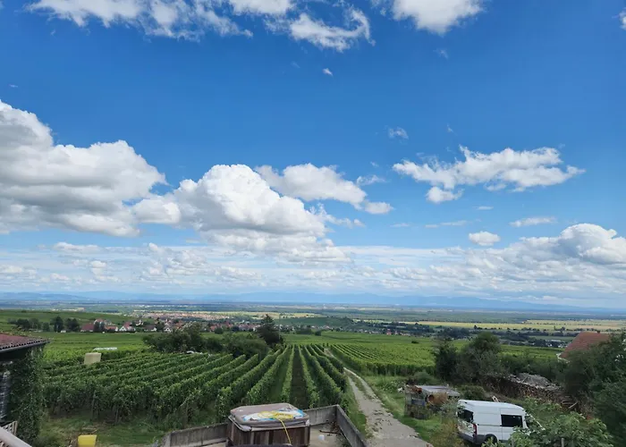 Apartment Le Jardin D Eden *